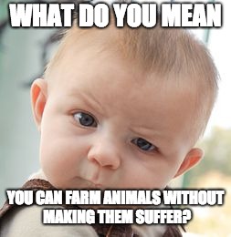 Skeptical Baby Meme | WHAT DO YOU MEAN; YOU CAN FARM ANIMALS WITHOUT MAKING THEM SUFFER? | image tagged in memes,skeptical baby | made w/ Imgflip meme maker