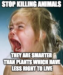 Crying Baby | STOP KILLING ANIMALS; THEY ARE SMARTER THAN PLANTS WHICH HAVE LESS RIGHT TO LIVE | image tagged in crying baby | made w/ Imgflip meme maker