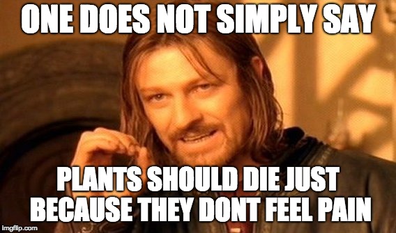 One Does Not Simply Meme | ONE DOES NOT SIMPLY SAY; PLANTS SHOULD DIE JUST BECAUSE THEY DONT FEEL PAIN | image tagged in memes,one does not simply | made w/ Imgflip meme maker