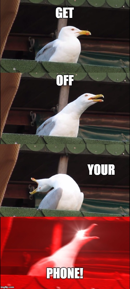Seagull Phone Hater | GET; OFF; YOUR; PHONE! | image tagged in memes,inhaling seagull | made w/ Imgflip meme maker