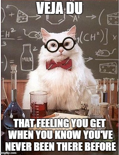 Veja Du | VEJA DU; THAT FEELING YOU GET WHEN YOU KNOW YOU'VE NEVER BEEN THERE BEFORE | image tagged in deja vu,cat scientist,humor | made w/ Imgflip meme maker