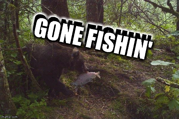 The Great Outdoors (Movie Title Week (March 22 - 29) an or_else Event) | GONE FISHIN' GONE FISHIN' | image tagged in memes,movie title week,animals | made w/ Imgflip meme maker