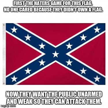 Confederate Flag meme  | FIRST THE HATERS GAME FOR THIS FLAG, NO ONE CARED BECAUSE THEY DIDN'T OWN A FLAG. NOW THEY WANT THE PUBLIC UNARMED AND WEAK SO THEY CAN ATTACK THEM. | image tagged in confederate flag meme | made w/ Imgflip meme maker
