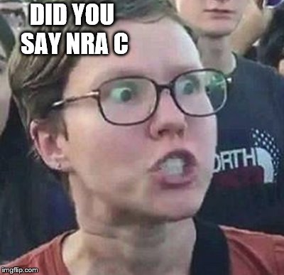 DID YOU SAY NRA C | made w/ Imgflip meme maker