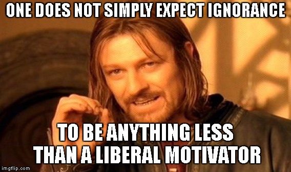 One Does Not Simply Meme | ONE DOES NOT SIMPLY EXPECT IGNORANCE TO BE ANYTHING LESS THAN A LIBERAL MOTIVATOR | image tagged in memes,one does not simply | made w/ Imgflip meme maker