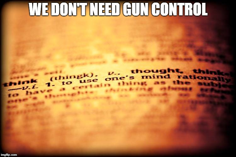 WE DON'T NEED GUN CONTROL | image tagged in gun,control,vilence | made w/ Imgflip meme maker