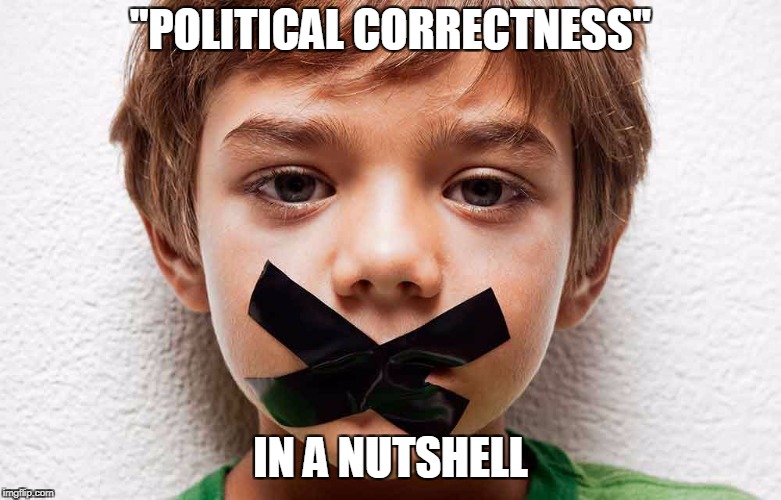 Political correctness in a nutshell | "POLITICAL CORRECTNESS"; IN A NUTSHELL | image tagged in memes,funny,political correctness,politically incorrect,liberals | made w/ Imgflip meme maker
