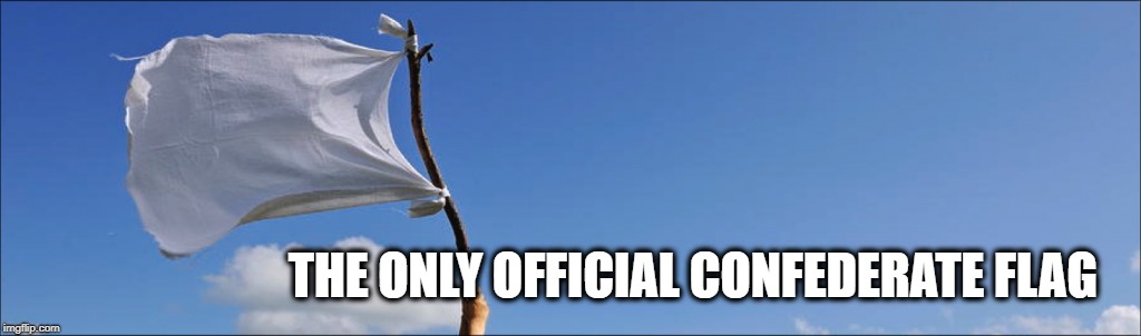 THE ONLY OFFICIAL CONFEDERATE FLAG | made w/ Imgflip meme maker