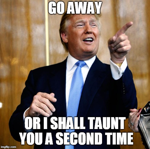 We don't need a Grail. We've already got one. | GO AWAY; OR I SHALL TAUNT YOU A SECOND TIME | image tagged in donal trump birthday,monty python and the holy grail,funny memes | made w/ Imgflip meme maker