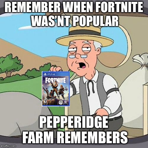 Pepperidge Farm Remembers | REMEMBER WHEN FORTNITE WAS’NT POPULAR; PEPPERIDGE FARM REMEMBERS | image tagged in memes,pepperidge farm remembers | made w/ Imgflip meme maker