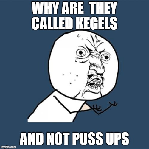 exercise pun for women | WHY ARE  THEY CALLED KEGELS; AND NOT PUSS UPS | image tagged in memes,y u no | made w/ Imgflip meme maker