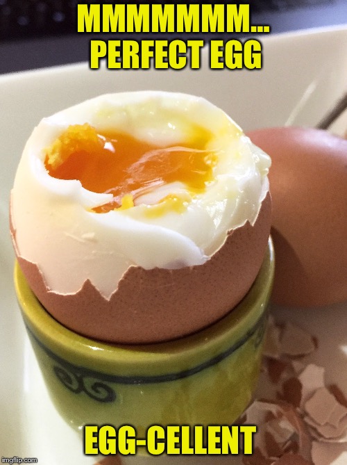 Perfect egg | MMMMMMM… PERFECT EGG; EGG-CELLENT | image tagged in perfect egg,meme | made w/ Imgflip meme maker