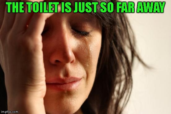 First World Problems Meme | THE TOILET IS JUST SO FAR AWAY | image tagged in memes,first world problems | made w/ Imgflip meme maker
