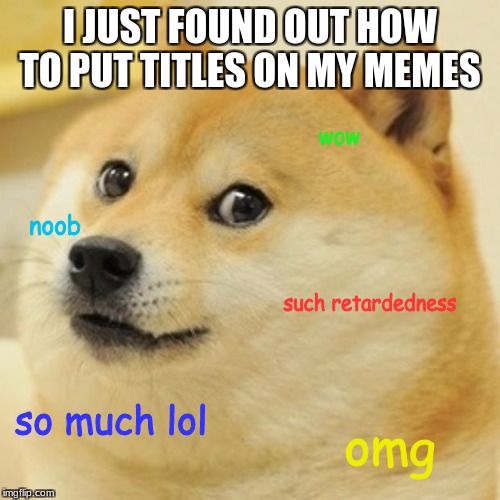 True story | I JUST FOUND OUT HOW TO PUT TITLES ON MY MEMES; wow; noob; such retardedness; so much lol; omg | image tagged in memes,doge | made w/ Imgflip meme maker