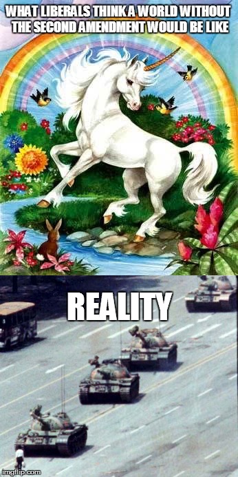 Good Luck Protesting on a Highway Then | WHAT LIBERALS THINK A WORLD WITHOUT THE SECOND AMENDMENT WOULD BE LIKE; REALITY | image tagged in 2nd amendment,stupid liberals,fantasy vs reality | made w/ Imgflip meme maker