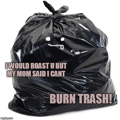 I WOULD ROAST U BUT MY MOM SAID I CANT; BURN TRASH! | image tagged in memes | made w/ Imgflip meme maker