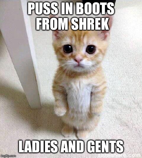 Cute Cat Meme | PUSS IN BOOTS FROM SHREK; LADIES AND GENTS | image tagged in memes,cute cat | made w/ Imgflip meme maker