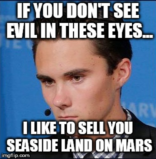 Evil Hog | IF YOU DON'T SEE EVIL IN THESE EYES... I LIKE TO SELL YOU SEASIDE LAND ON MARS | image tagged in evil hogg,evil soy-boys,democrat fascism,anti-gun nazis | made w/ Imgflip meme maker