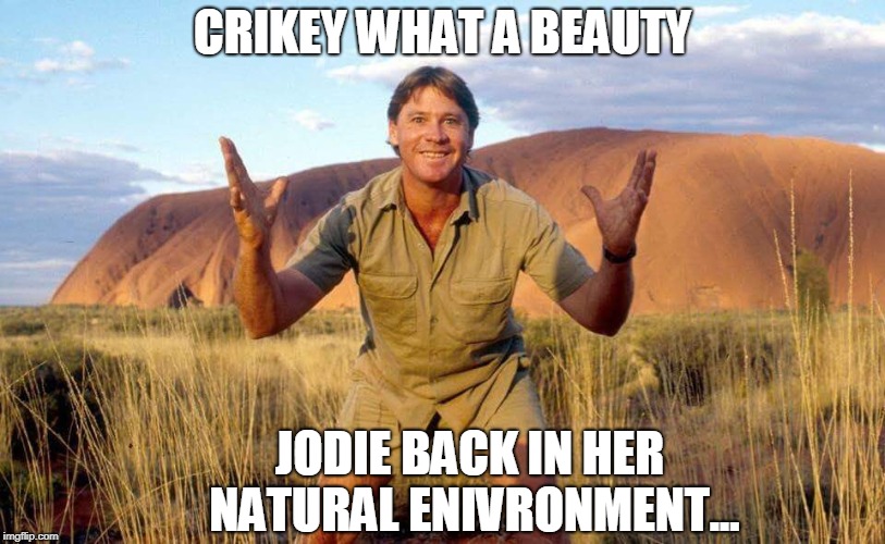 Steve Irwin Crocodile Hunter  | CRIKEY WHAT A BEAUTY; JODIE BACK IN HER NATURAL ENIVRONMENT... | image tagged in steve irwin crocodile hunter | made w/ Imgflip meme maker