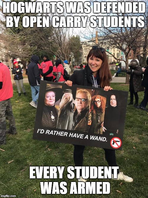 HOGWARTS WAS DEFENDED BY OPEN CARRY STUDENTS; EVERY STUDENT WAS ARMED | image tagged in wand gun protesting idiot | made w/ Imgflip meme maker