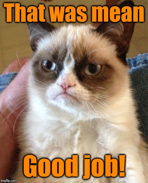 Grumpy Cat Meme | That was mean Good job! | image tagged in memes,grumpy cat | made w/ Imgflip meme maker