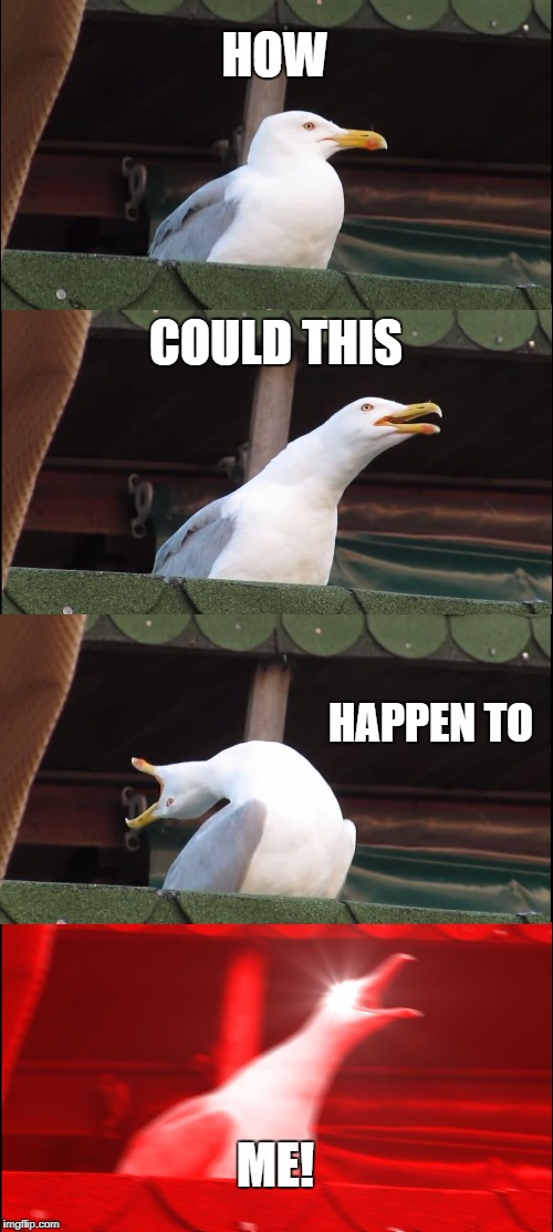 Inhaling Seagull | HOW; COULD THIS; HAPPEN TO; ME! | image tagged in memes,inhaling seagull | made w/ Imgflip meme maker