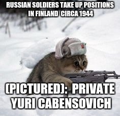 the winter war | RUSSIAN SOLDIERS TAKE UP POSITIONS IN FINLAND  CIRCA 1944; (PICTURED): 
PRIVATE YURI CABENSOVICH | image tagged in russian cat | made w/ Imgflip meme maker