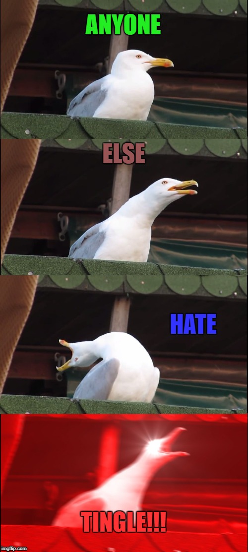Inhaling Seagull Meme | ANYONE; ELSE; HATE; TINGLE!!! | image tagged in memes,inhaling seagull | made w/ Imgflip meme maker