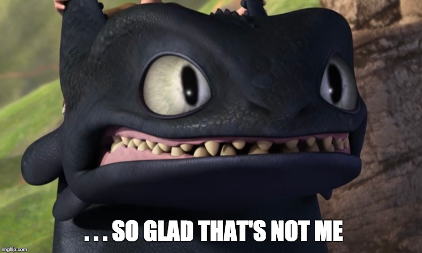 . . . SO GLAD THAT'S NOT ME | image tagged in toothless,how to train your dragon | made w/ Imgflip meme maker