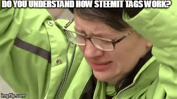 DO YOU UNDERSTAND HOW STEEMIT TAGS WORK? | image tagged in gifs | made w/ Imgflip video-to-gif maker