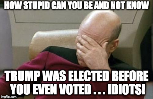 idiots | HOW STUPID CAN YOU BE AND NOT KNOW; TRUMP WAS ELECTED BEFORE YOU EVEN VOTED . . . IDIOTS! | image tagged in memes | made w/ Imgflip meme maker