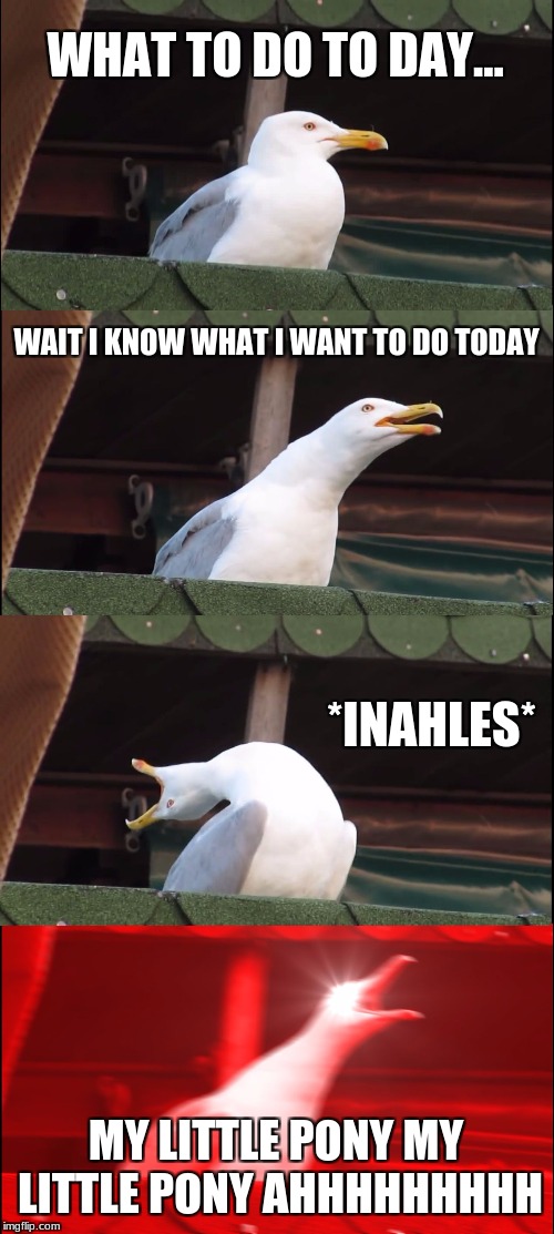 Inhaling Seagull Meme | WHAT TO DO TO DAY... WAIT I KNOW WHAT I WANT TO DO TODAY; *INAHLES*; MY LITTLE PONY MY LITTLE PONY AHHHHHHHHH | image tagged in memes,inhaling seagull | made w/ Imgflip meme maker