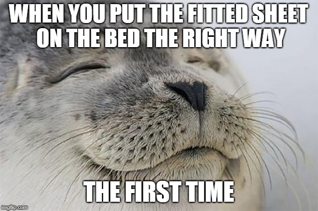 Satisfied Seal Meme | WHEN YOU PUT THE FITTED SHEET ON THE BED THE RIGHT WAY; THE FIRST TIME | image tagged in memes,satisfied seal | made w/ Imgflip meme maker