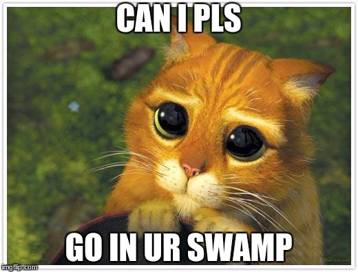 Shrek Cat | CAN I PLS; GO IN UR SWAMP | image tagged in memes,shrek cat | made w/ Imgflip meme maker
