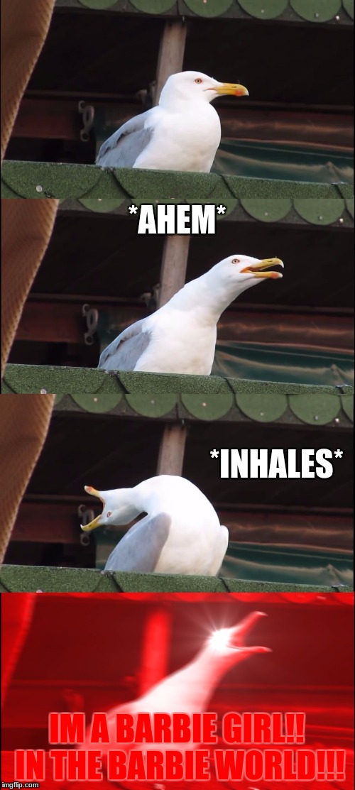 Inhaling Seagull | *AHEM*; *INHALES*; IM A BARBIE GIRL!! IN THE BARBIE WORLD!!! | image tagged in memes,inhaling seagull | made w/ Imgflip meme maker