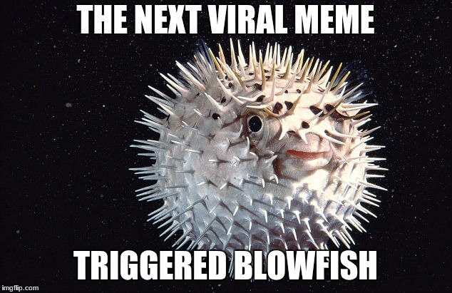 The Next Viral Meme | THE NEXT VIRAL MEME; TRIGGERED BLOWFISH | image tagged in triggered | made w/ Imgflip meme maker