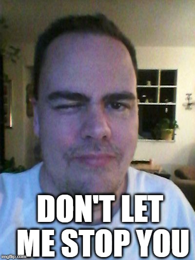 wink | DON'T LET ME STOP YOU | image tagged in wink | made w/ Imgflip meme maker