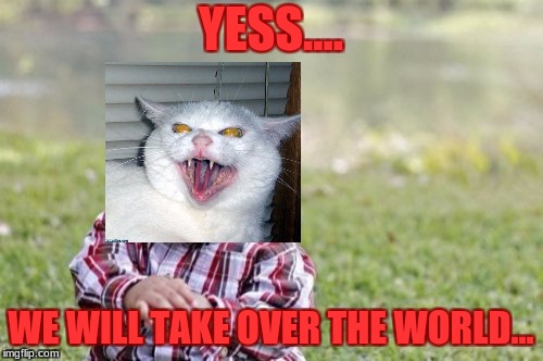 Evil Toddler Meme | YESS.... WE WILL TAKE OVER THE WORLD... | image tagged in memes,evil toddler | made w/ Imgflip meme maker