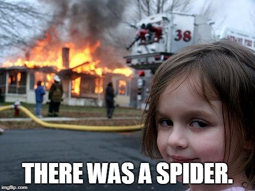 Disaster Girl | THERE WAS A SPIDER. | image tagged in memes,disaster girl | made w/ Imgflip meme maker