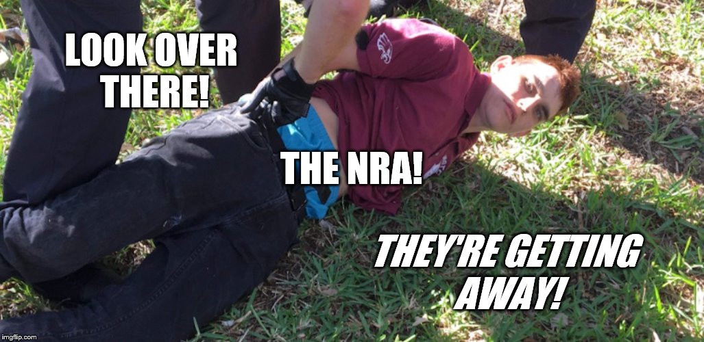 LOOK OVER THERE! THE NRA! THEY'RE GETTING AWAY! | image tagged in nikolas cruz | made w/ Imgflip meme maker