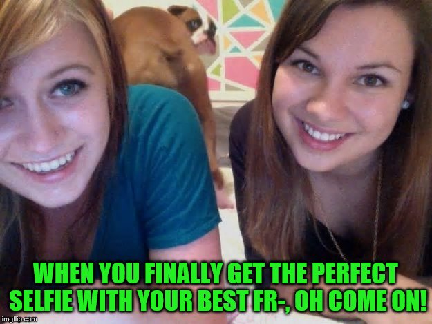 Maybe next time, you'll buy the right kind of treats. |  WHEN YOU FINALLY GET THE PERFECT SELFIE WITH YOUR BEST FR-, OH COME ON! | image tagged in memes,photobomb,selfie fail | made w/ Imgflip meme maker