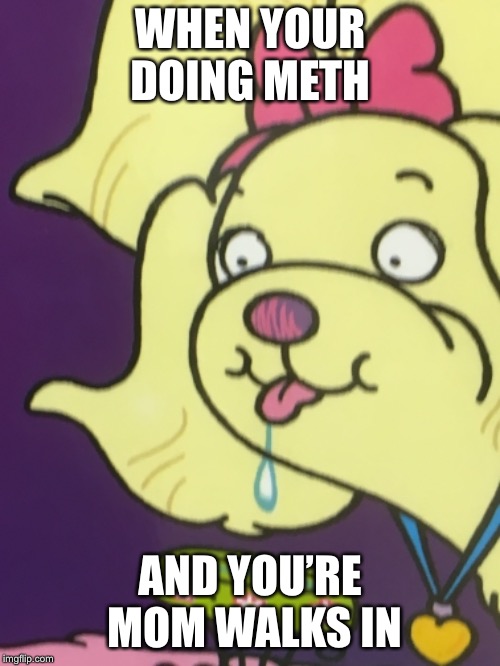 WHEN YOUR DOING METH; AND YOU’RE MOM WALKS IN | image tagged in dog | made w/ Imgflip meme maker