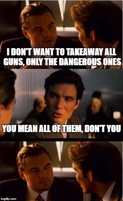 Inception Meme | I DON'T WANT TO TAKEAWAY ALL GUNS, ONLY THE DANGEROUS ONES; YOU MEAN ALL OF THEM, DON'T YOU | image tagged in memes,inception | made w/ Imgflip meme maker