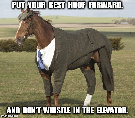 Put your best hoof forward | PUT  YOUR  BEST  HOOF  FORWARD. AND  DON'T  WHISTLE  IN  THE  ELEVATOR. | image tagged in horse | made w/ Imgflip meme maker