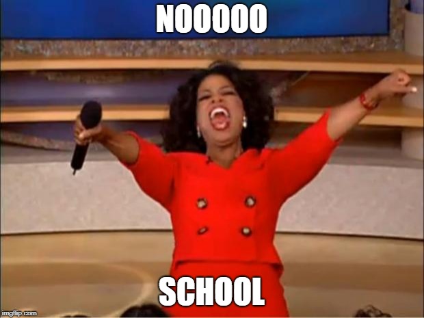 Oprah You Get A | NOOOOO; SCHOOL | image tagged in memes,oprah you get a | made w/ Imgflip meme maker
