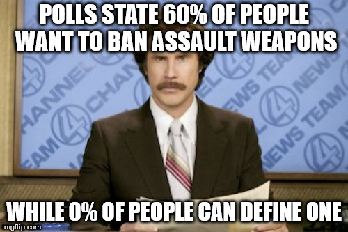 Ron Burgundy | POLLS STATE 60% OF PEOPLE WANT TO BAN ASSAULT WEAPONS; WHILE 0% OF PEOPLE CAN DEFINE ONE | image tagged in memes,ron burgundy | made w/ Imgflip meme maker