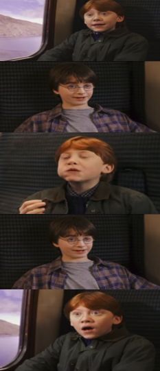 Does harry potter have 7 books? Blank Meme Template