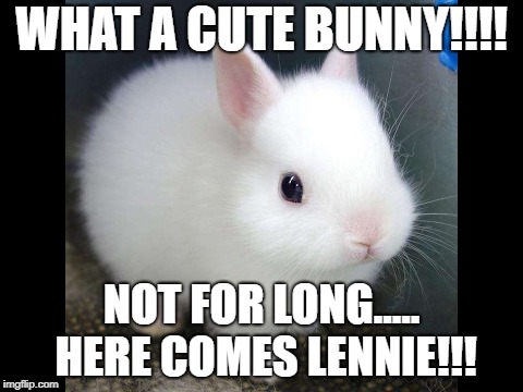Bunny | WHAT A CUTE BUNNY!!!! NOT FOR LONG..... HERE COMES LENNIE!!! | image tagged in steinbeck,of mice and men | made w/ Imgflip meme maker