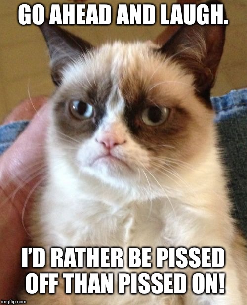 Grumpy Cat Meme | GO AHEAD AND LAUGH. I’D RATHER BE PISSED OFF THAN PISSED ON! | image tagged in memes,grumpy cat | made w/ Imgflip meme maker