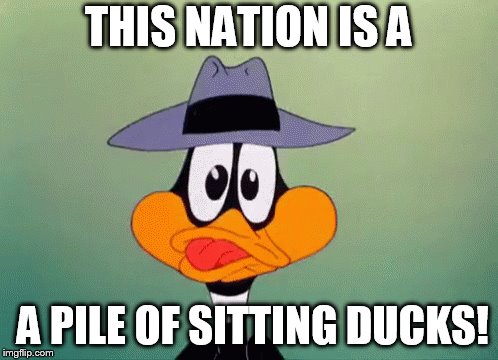bunch of sitting ducks! | THIS NATION IS A; A PILE OF SITTING DUCKS! | image tagged in sitting ducks,a duck,nation,a pile  of | made w/ Imgflip meme maker